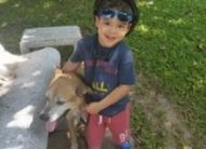 Pet friendly condo building for rent or sale