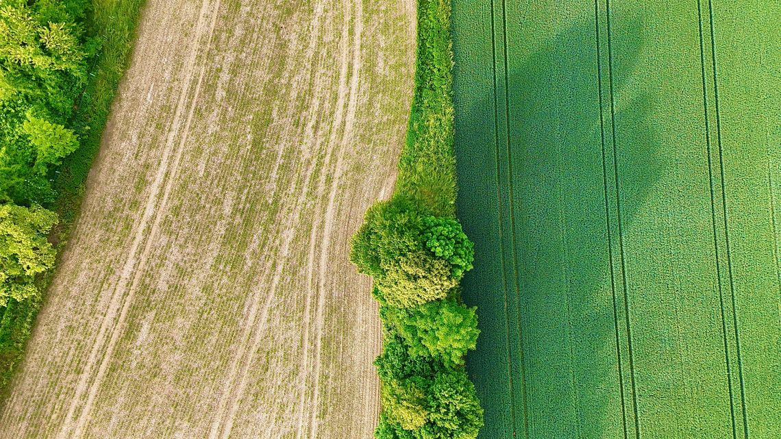 Plots of Land